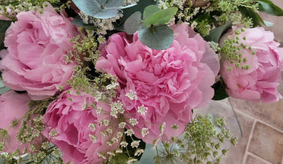 Sophrologie et Alzheimer